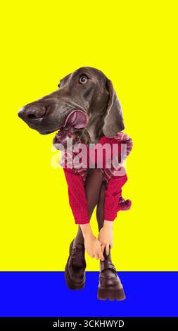 Digital poster. Relaxed person with dog head in red outfit surreal collage Stock Photo