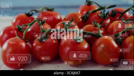 Displaying cluster of red tomatoes glowing on kitchen tabletop, with social media notifications Stock Photo