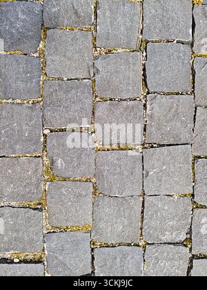 Stone pavement with square cobblestones and grass growing in between . High quality photo Stock Photo