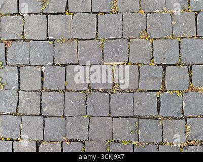 Stone pavement with square cobblestones and grass growing in between . High quality photo Stock Photo
