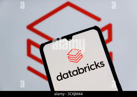 Bandung, West Java, Indonesia. 12th Sep, 2025. In This illustration photo shows the Databricks logo displayed on a smartphone with Databricks logo in the background. (Credit Image: © Algi Febri Sugita/ZUMA Press Wire) EDITORIAL USAGE ONLY! Not for Commercial USAGE! Stock Photo