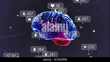 Floating 3D-rendered brain model glowing in digital network space, with social media notifications Stock Photo
