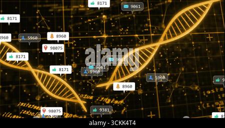 Displaying two golden DNA helices intertwining in virtual dashboard, with floating notifications Stock Photo