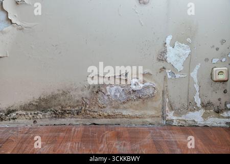 Old wall with peeling paint layers and water stains. Stock Photo