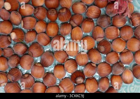 Hazelnuts in the shell as a background Stock Photo