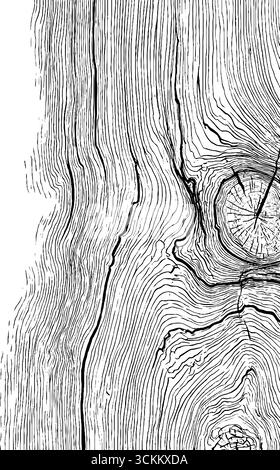 Linear wooden tree rings pattern. Topography circles with map texture ...