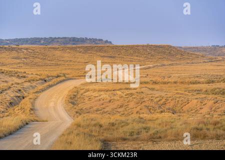 Winding Dirt Road Through Golden Desert Landscape In Bardenas Reales Natural Park Spain. Arid Badlands, Rolling Hills, Dusty Trail Semi Desert Terrain Stock Photo