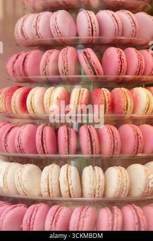 August 28, 2025, Bruges, Belgium — Rows of pink and white macarons neatly arranged in a multi-tier display. Stock Photo