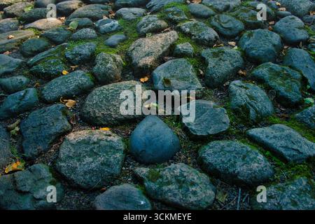 Old Cobblestone Path with Moss and Autumn Leaves Stock Photo