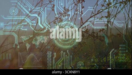 Floating glowing circular interface over grass in meadow with circuit traces, map, grid and charts Stock Photo