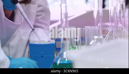 Using micropipette gloved technician transferring drop into blue rack at lab bench, copy space Stock Photo