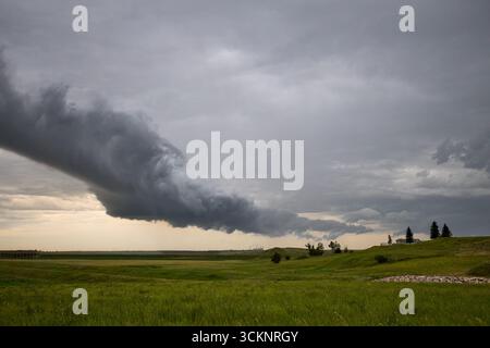 Dramatic storm cloud over green prairie fields in Saskatchewan, Canada Stock Photo