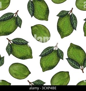 Watercolor lime seamless pattern. Whole limes with leaves on white background. Perfect for summer designs, fresh illustrations, vibrant projects. Hand Stock Photo