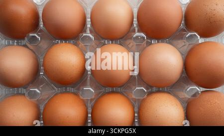 Organic chicken eggs in plastic packaging Stock Photo