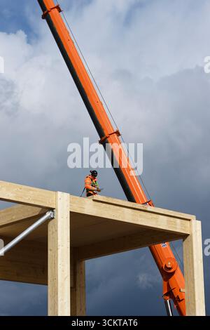 Glulam timber frame with workman on roof using cordless drill, mobile crane in background on Bury flexi hall construction site, greater manchester uk Stock Photo
