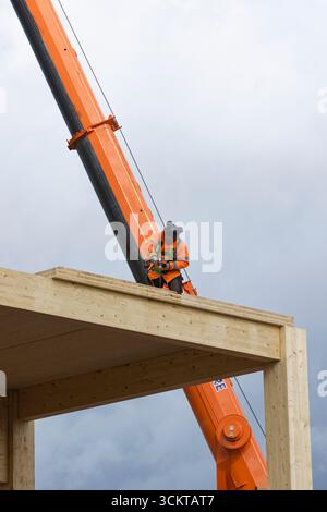 Glulam timber frame with workman on roof using cordless drill, mobile crane in background on Bury flexi hall construction site, greater manchester uk Stock Photo