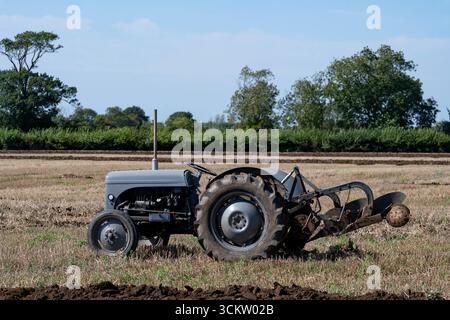 Vintage Massey Ferguson tractor Stock Photo