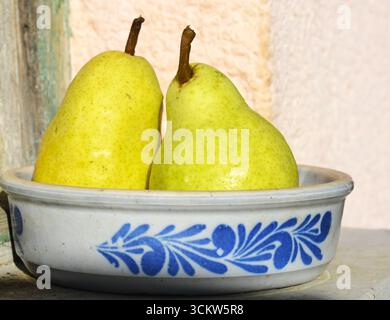 Two Yellow Pears in colored vintage clay plate,Still Life Photo Stock Photo