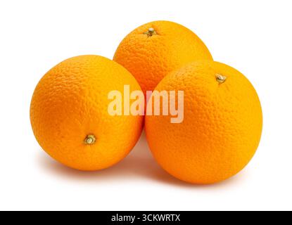 oranges path isolated on white Stock Photo