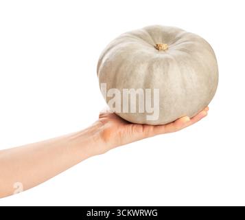 grey pumpkin in hand path isolated on white Stock Photo
