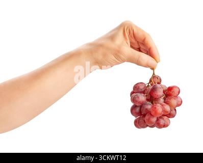 red grape in hand path isolated on white Stock Photo