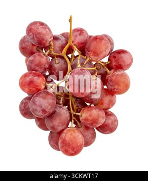 red grape path isolated on white Stock Photo