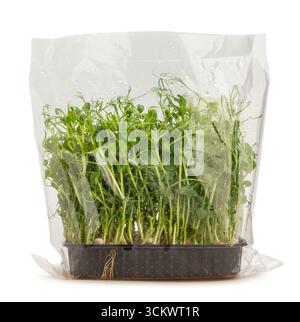 pea micro green superfood path isolated on white Stock Photo