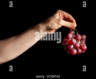 red grape in hand on black background Stock Photo