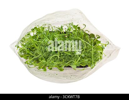 pea micro green superfood path isolated on white top view Stock Photo