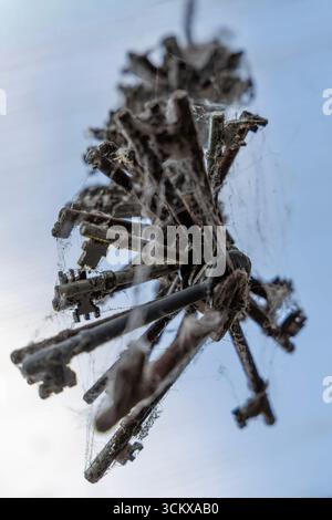 key collection Stock Photo