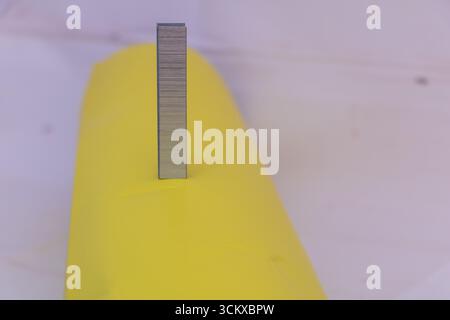 Stack of metal staples standing upright on colorful yellow and purple background, office stationery closeup for business and work concept. Stock Photo