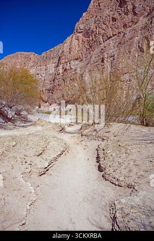 Dry Channel in Desert River Valley in Boquillas Canyon in Big Bend National Park in Texas Stock Photo
