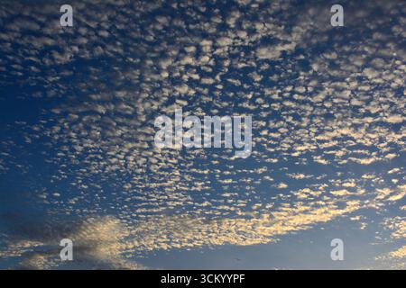 Blue sky filled with small, puffy clouds Stock Photo