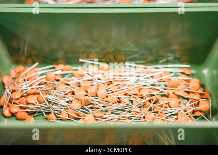 Ceramic capacitors stored in a green container for electronic components Stock Photo