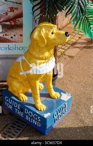 Statue of a yellow guide dog in harness on blue platform with text 'Guide Dogs for the Blind' in a public space charity donation box RNIB Stock Photo