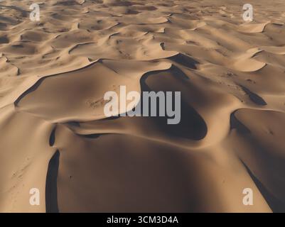Aerial view of undulating sand dunes, sculpted by wind and time, create a mesmerizing pattern of light and shadow, Gobi Desert, Ömnögovi, Mongolia. Stock Photo