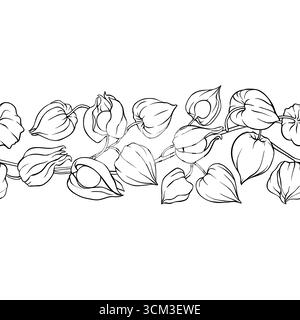 Phisalis Outline Horizontal Seamless Pattern. Stock Vector