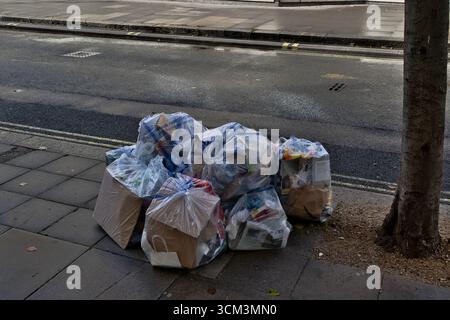 A pile of plastic-wrapped trash bags and cardboard boxes sits on a paved sidewalk next to a tree trunk. The bags contain various recyclable materials, Stock Photo