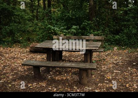 Picnic site with wooden table and benches in forest Stock Photo - Alamy