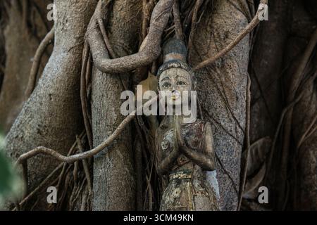 Bodhi tree, Ficus religiosa, wooden figure, Loh Dalum Beach, Koh Phi Phi, Phang Nga Bay, Krabi, Thailand Stock Photo
