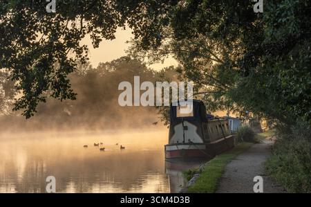Sunrise Mist on a Narrow Boat Mooring at Tixall Wide or Tixal Broad on the Staffordshire and Worcestershire Canal Stock Photo