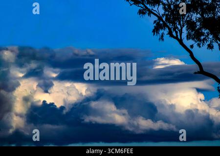A dramatic cloud formation paints the sky above the trees in Sydney, NSW, Australia. (Photo by Tara Chand Malhotra) Stock Photo
