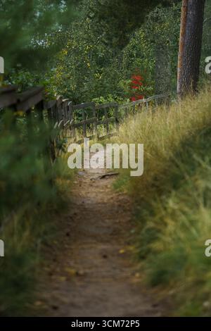 Dirt path with wooden railing winding through lush greenery and wild grass. Stock Photo