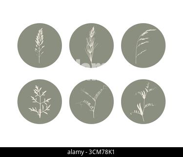 Botanical herbal green badges featuring silhouettes of plant prints inside round circles. Great for stickers, branding and minimal packaging. Vector i Stock Vector