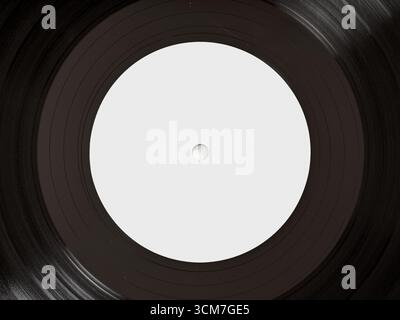 Single black long-play 33RPM vinyl record with purple label isolated on ...