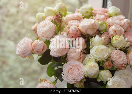 Bouquet of beautiful cream roses on the windowsill. Flowers Stock Photo