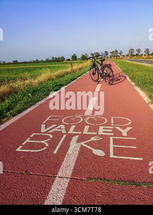 Bike Path Winding Through Green Countryside, Exploring Italy's Food Valley By Bicycle, Parma - Italy. Stock Photo