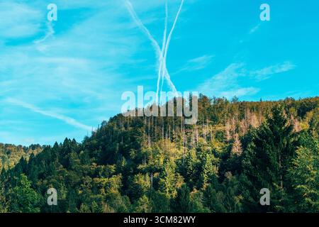 Crossing jet trails forming X shape over woodland in alpine mountain landscape. Selective focus. Stock Photo