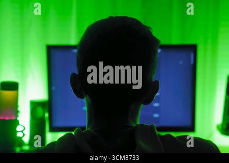 Hacker sitting at monitor, rear view from back of head. Stock Photo