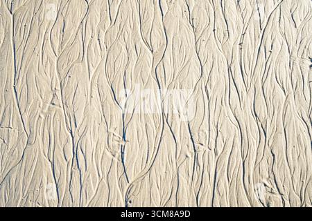Light beige sand with wavy drifts. Natural surface as a background. Stock Photo